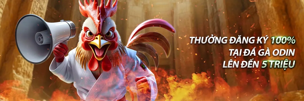 Hình ảnh sân vận động thể thao sôi động, cá cược lc79